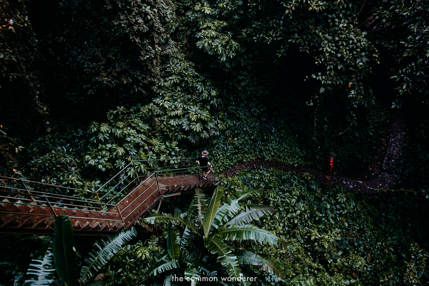 Sekumpul Waterfall Trek